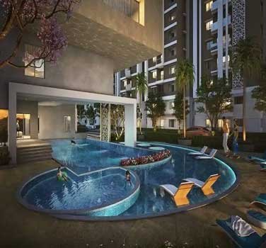 Layout Gallery Image